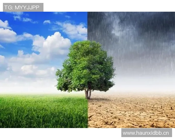 今日全球气候变化峰会召开 各国就减排目标达成共识推动绿色发展